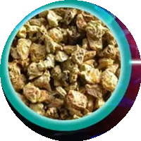 गोक्षुरा